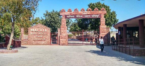 macha biological park: Destinations in jodhpur