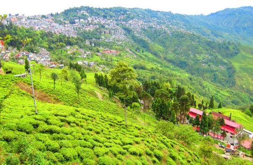 happy valley: Tourist places in mussoorie