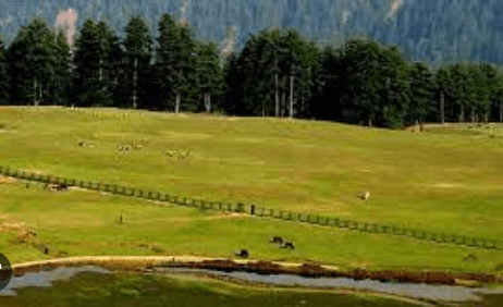 sanasar: Best places to visit in Jammu and Kashmir