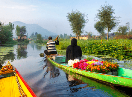 srinagar: Best places to visit in Jammu and Kashmir