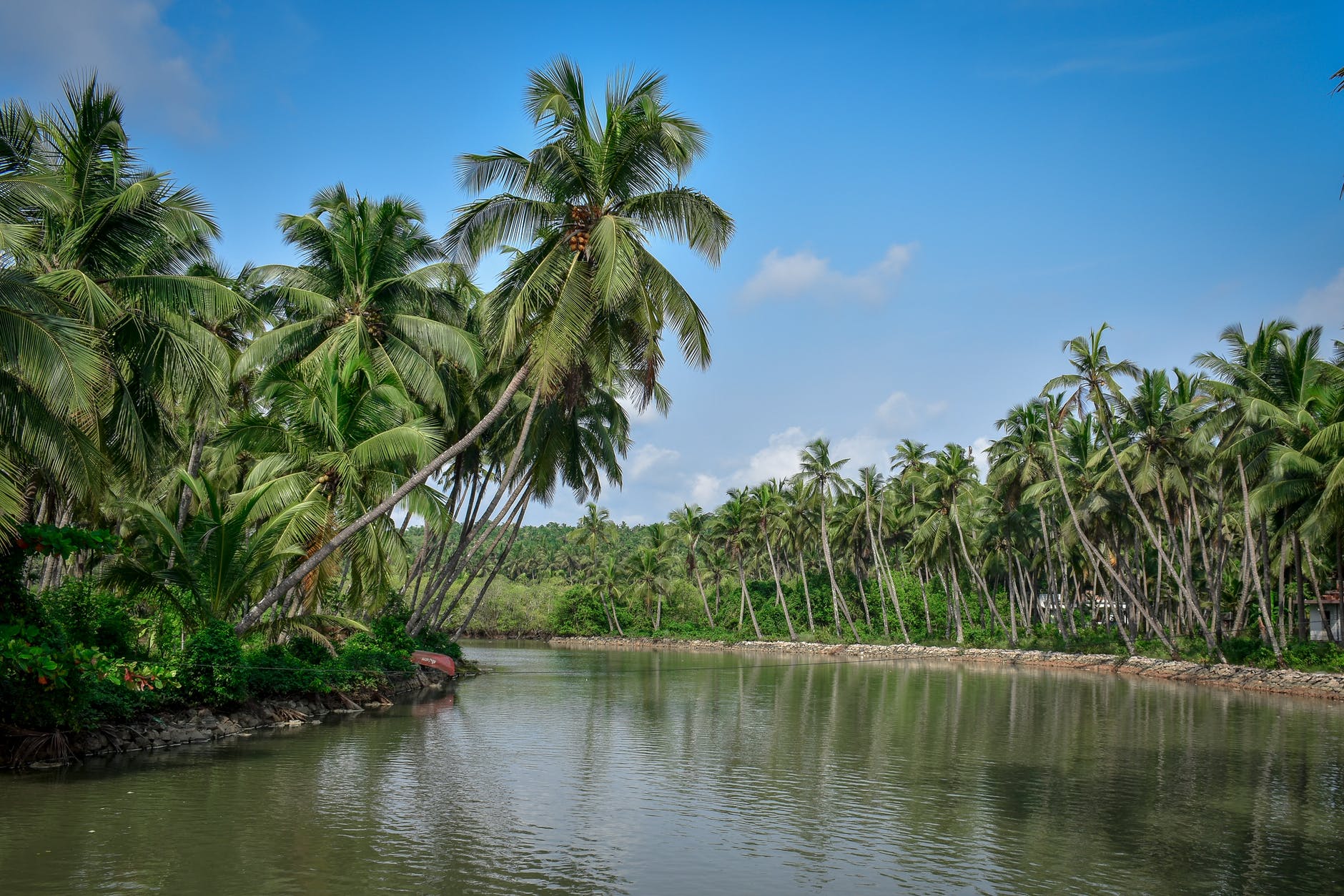 Read more about the article Tourist places in Kerala & Best Places to Visit in Kerala