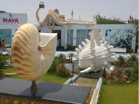 sea shell museum