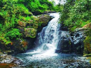 Meenmutty and Kombaikani Fall: Tourist places in Trivandrum