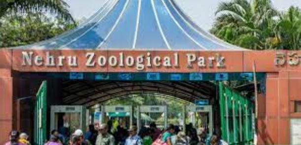 nehru zoological park