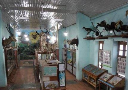 shembaganur museum