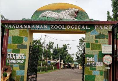 nandankanan zoological park: Places to visit in Bhubaneswar