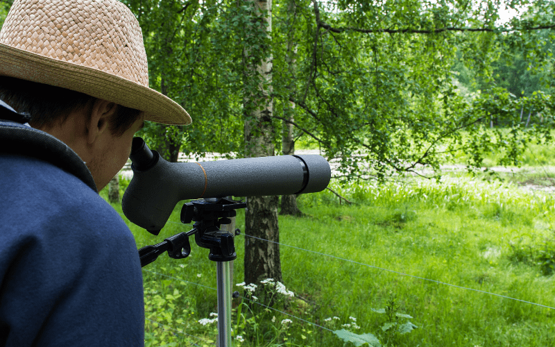 Go Birdwatching at the Rugezi Marsh