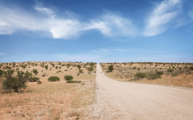 Kalahari Desert: Attractions in Botswana