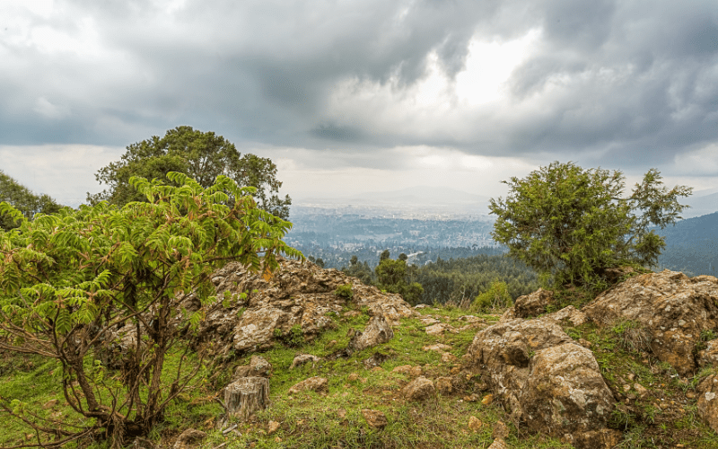Mount Entoto; Places to visit in Addis Ababa