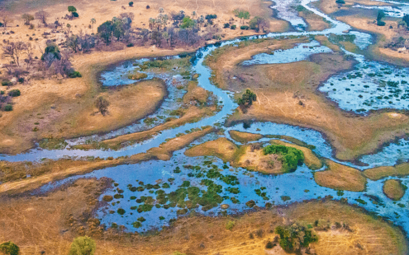 Okavango Delta : Attractions in Botswana