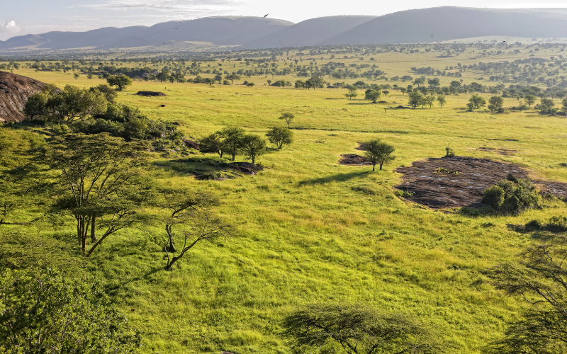Saadani National Park: Places in Tanzania