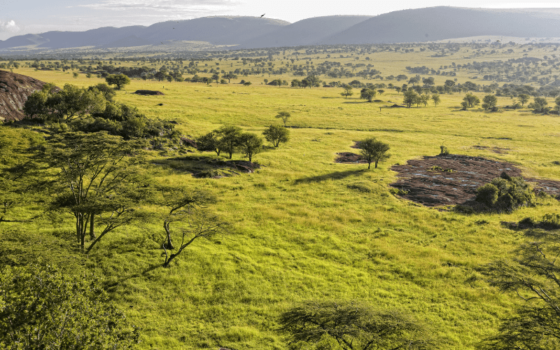 Serengeti National Park: Places in Tanzania