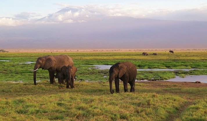 You are currently viewing Top 15 tourist destinations in Kenya to explore