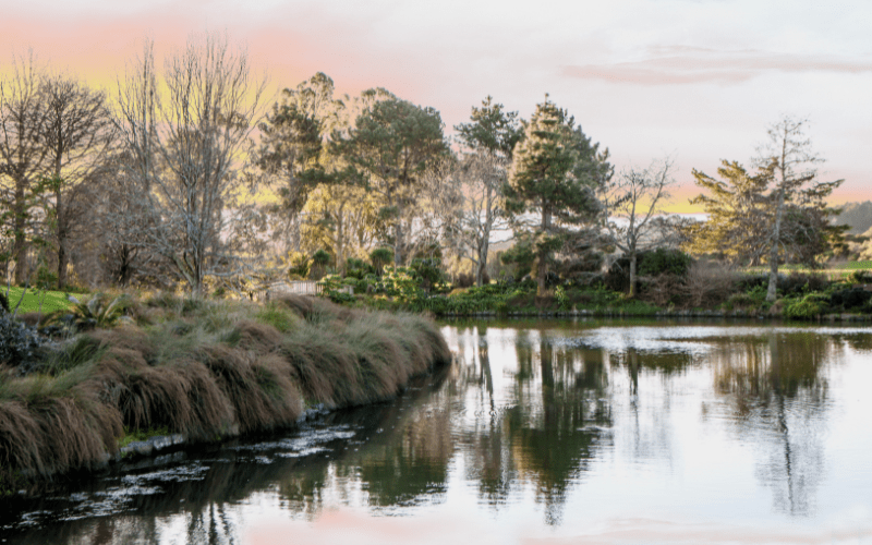 Auckland Botanic Gardens:Best places to visit in Auckland