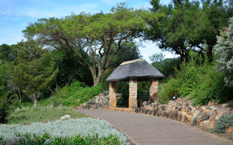 Kirstenbosch National Botanical Garden: Tourist attractions in cape town