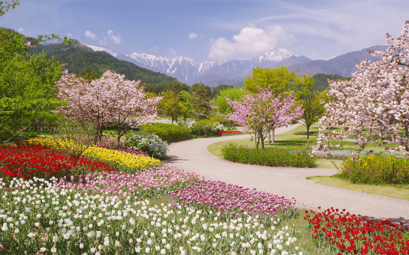 Sofia's Best Parks and Gardens:Attractions in Sofia:Sofia Highlights