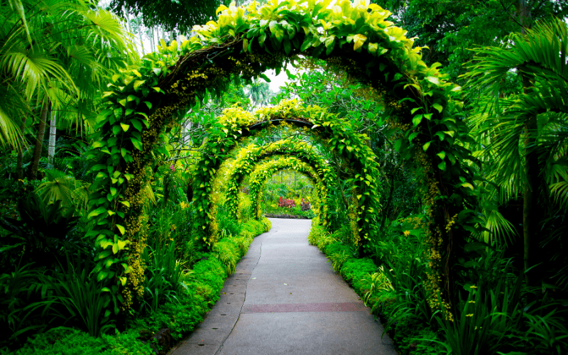 Suva Botanical Gardens