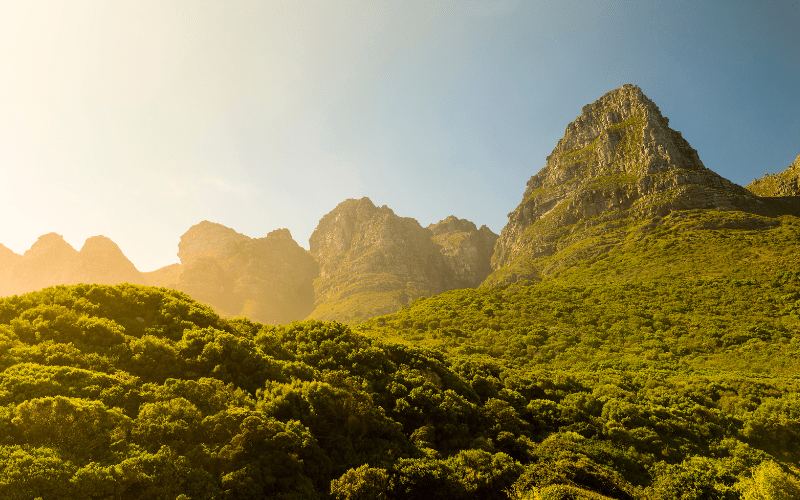 Table Mountain National Park: Tourist attractions in cape town