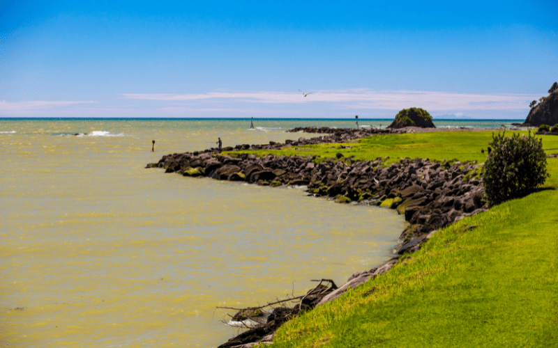 Whakatane:destinations in newzealand