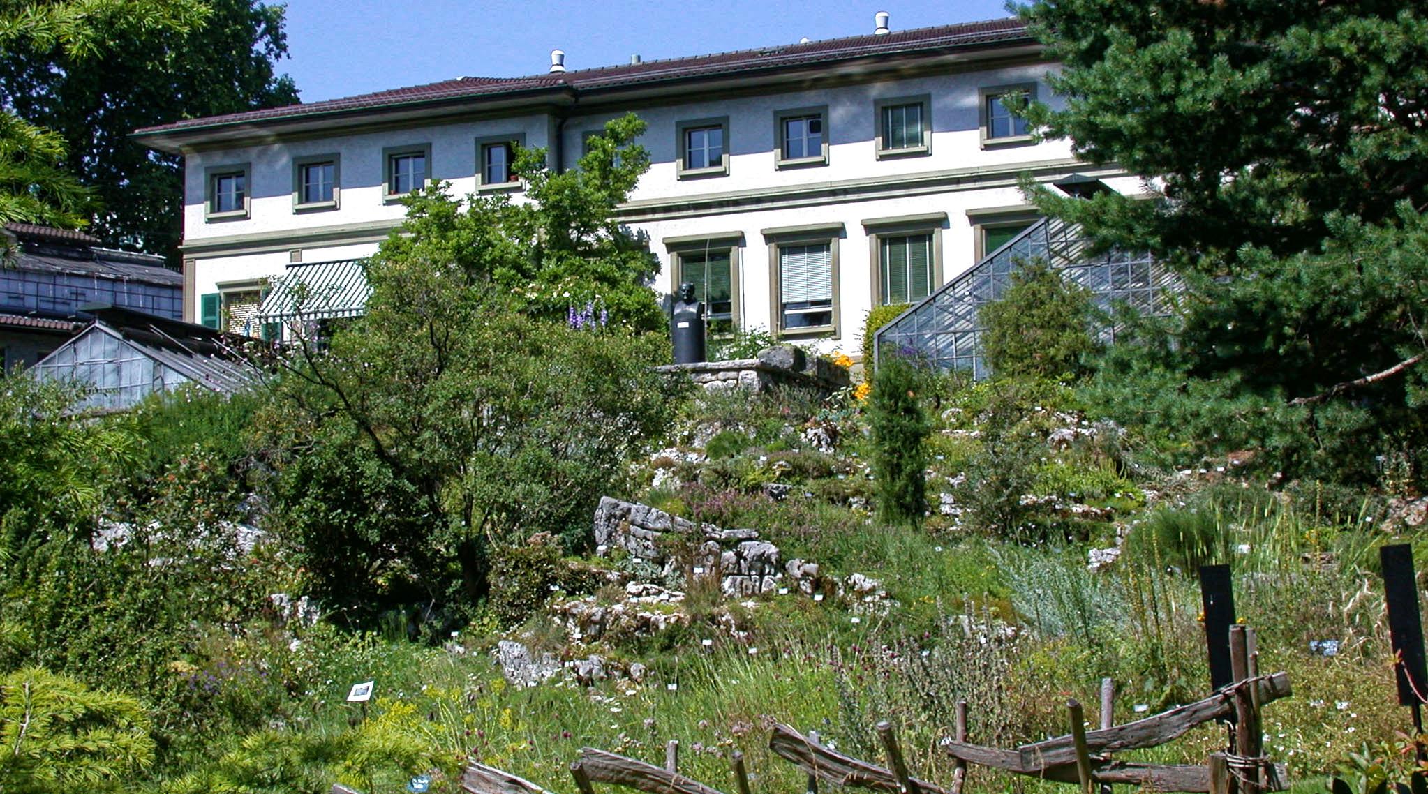 The Bern Botanical Garden: Places to Visit in Bern