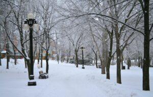 Read more about the article 20 Tourist Attractions & Places to Visit in Winnipeg